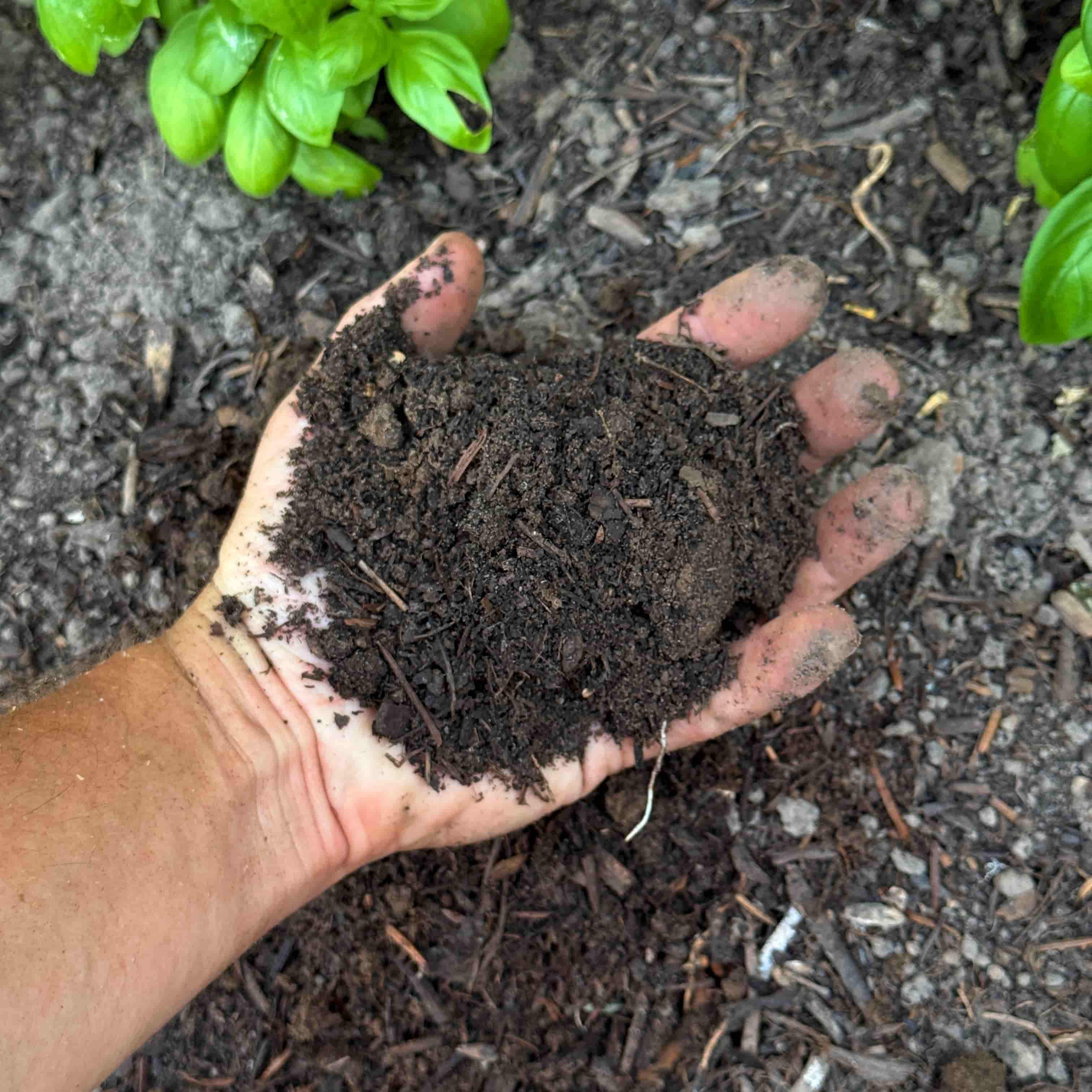 Travail du sol à Terraphile