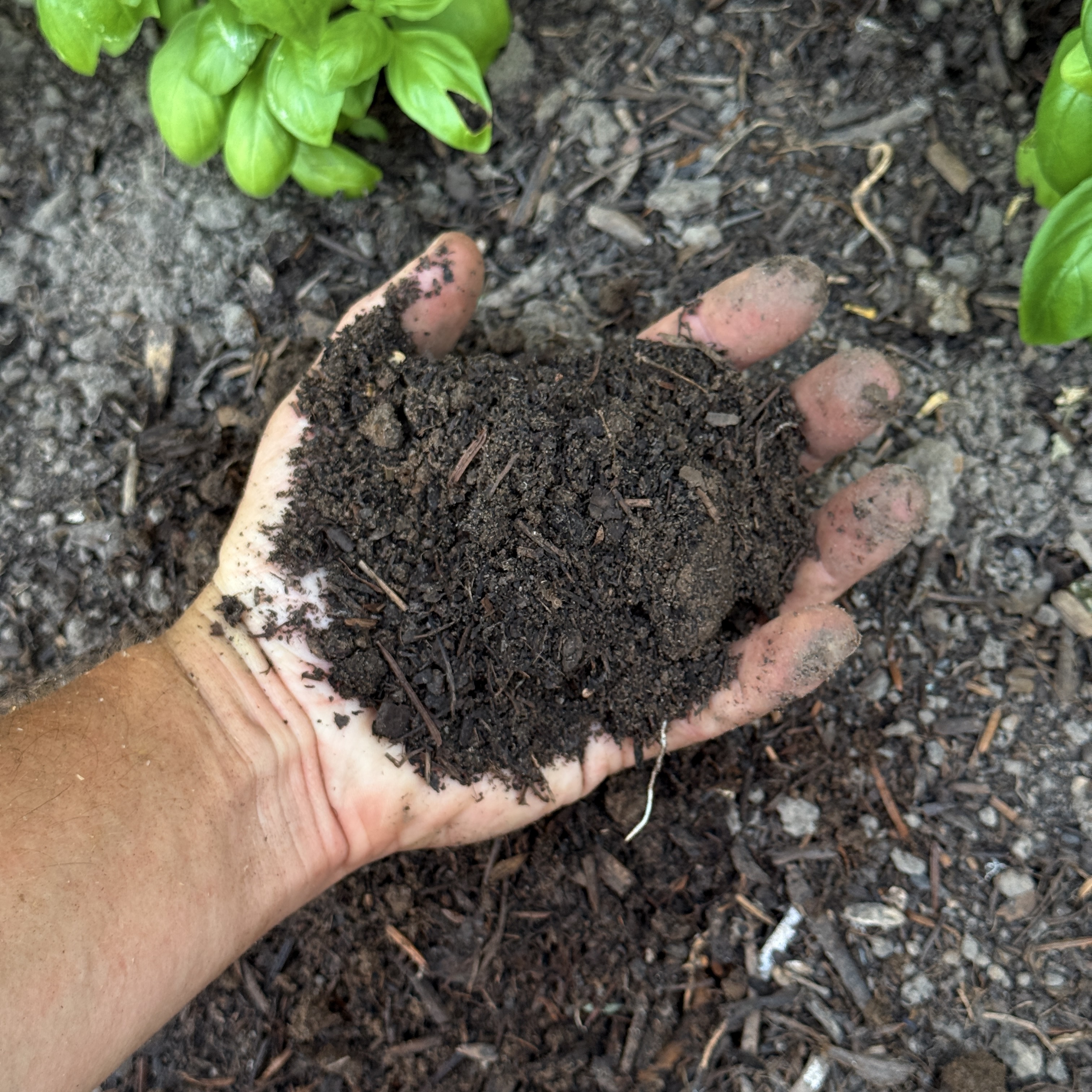 Travail du sol à Terraphile