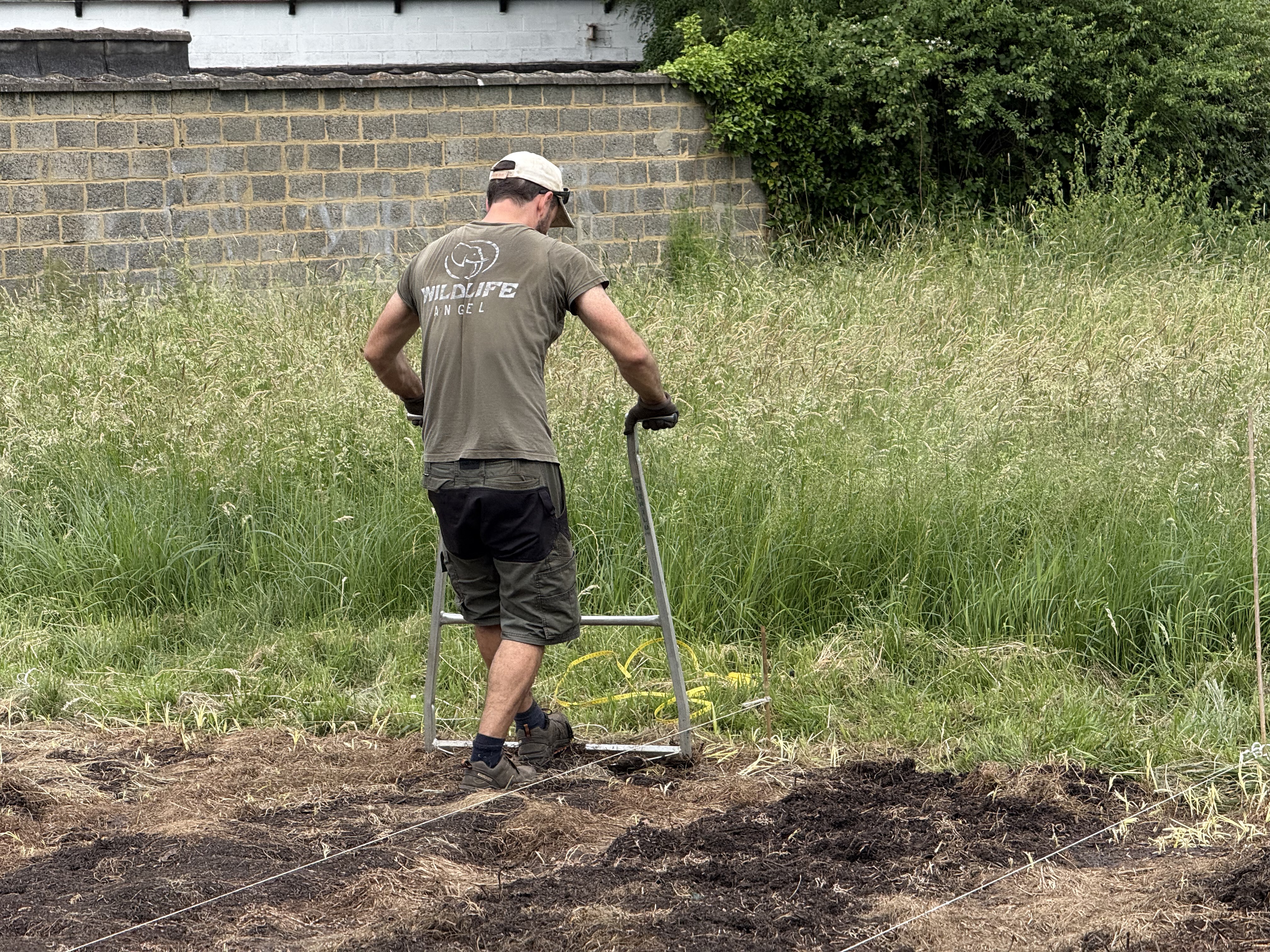 Le potager de Terraphile